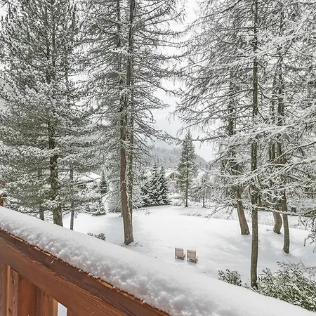 Ecureuil - Happy * Chamonix