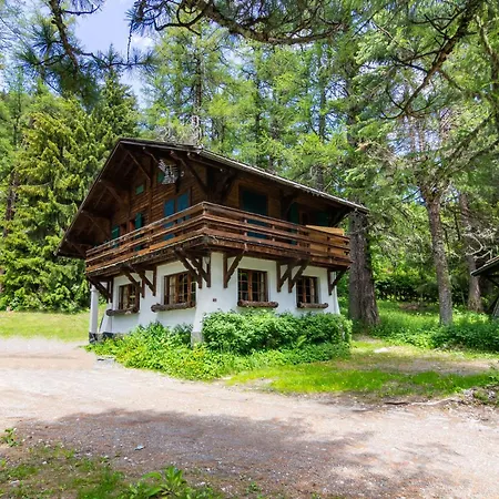 Ecureuil - Happy * Chamonix Mont Blanc